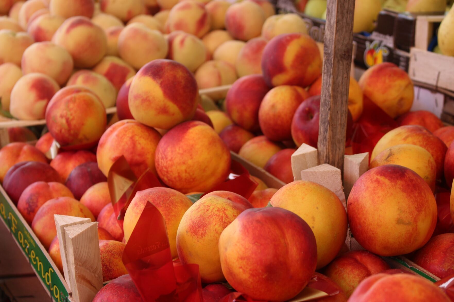 Frozen peach bellini